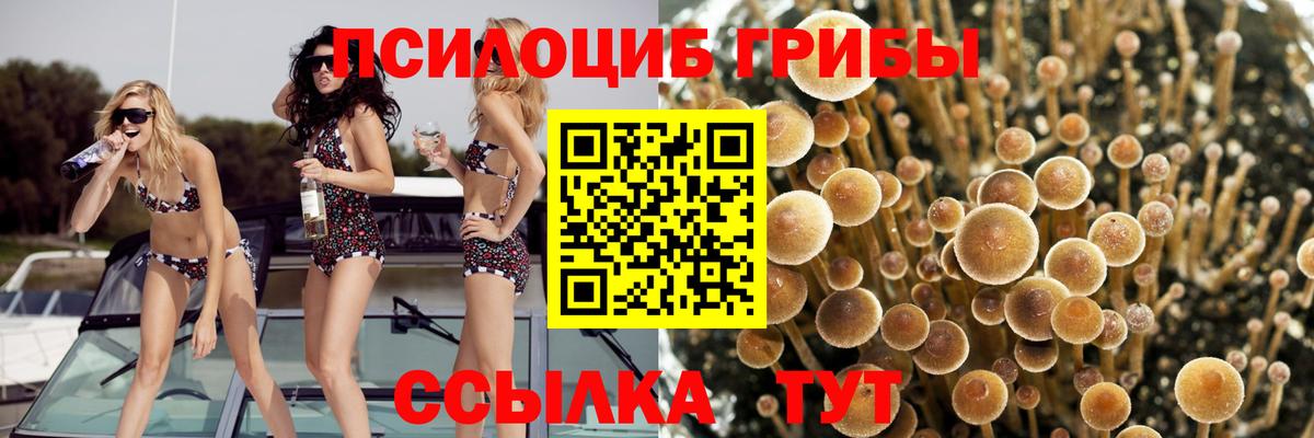Галлюциногенные грибы мицелий Мончегорск